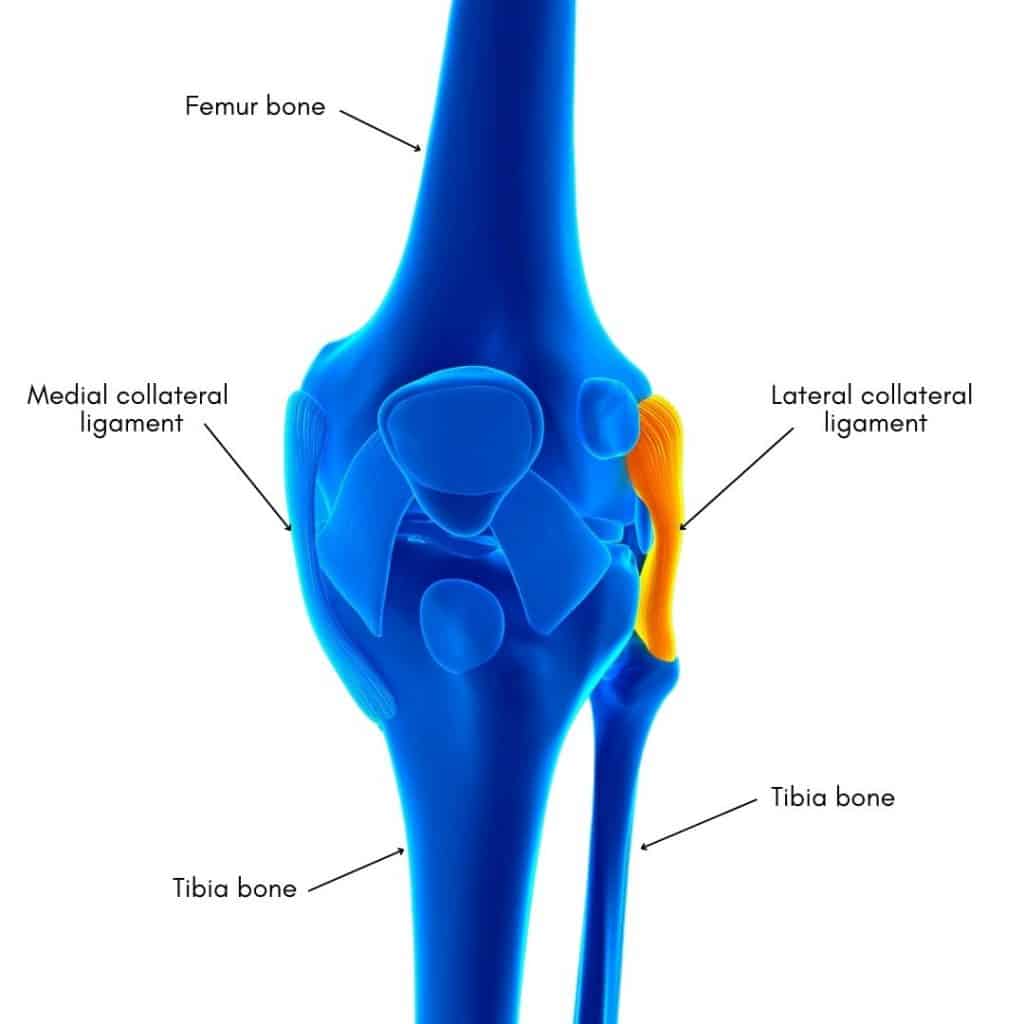 LCL Injury Lateral Collateral Ligament Injury Of The Knee