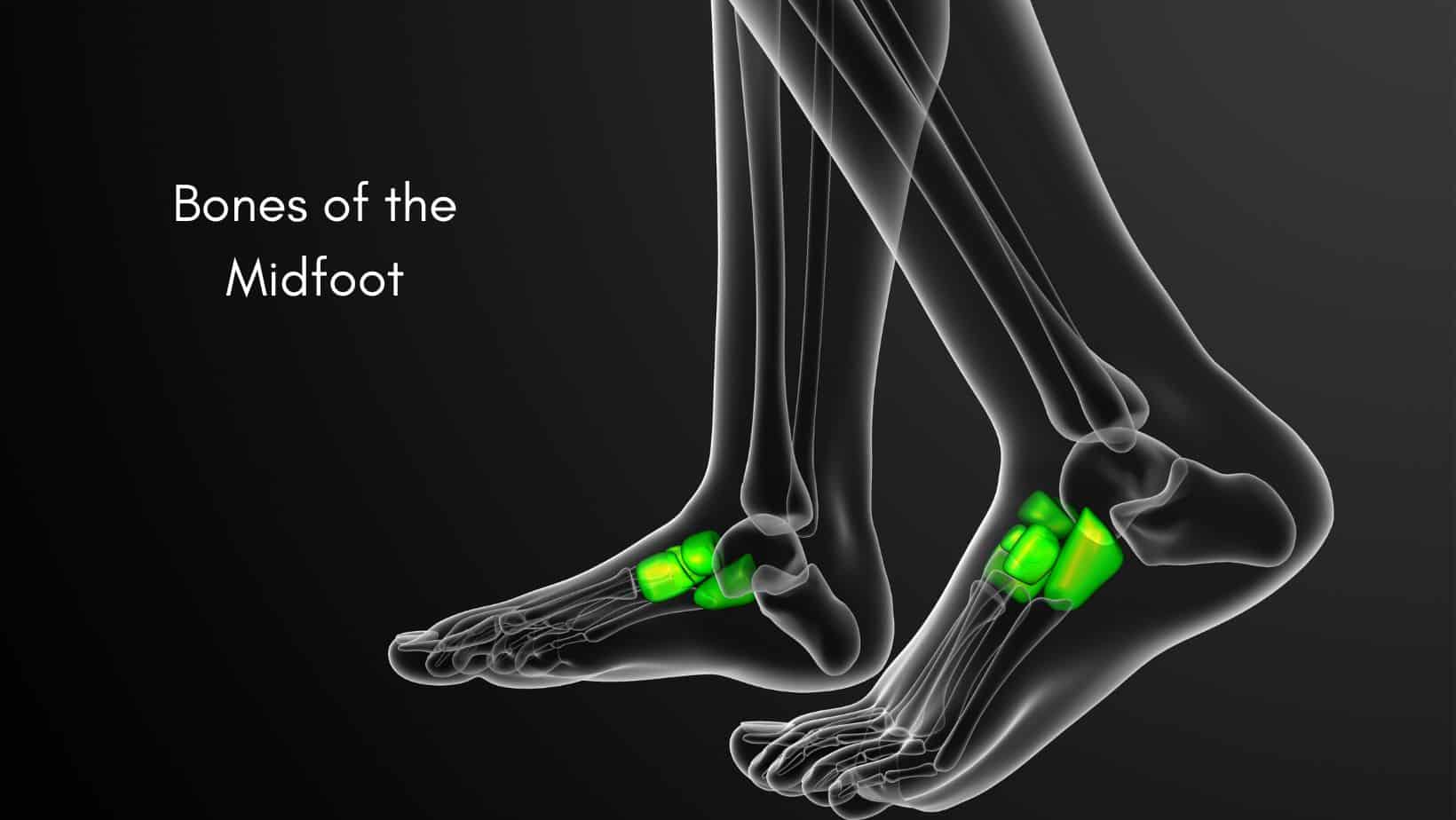 Midfoot Arthritis Symptoms & Treatment by a Physical Therapist