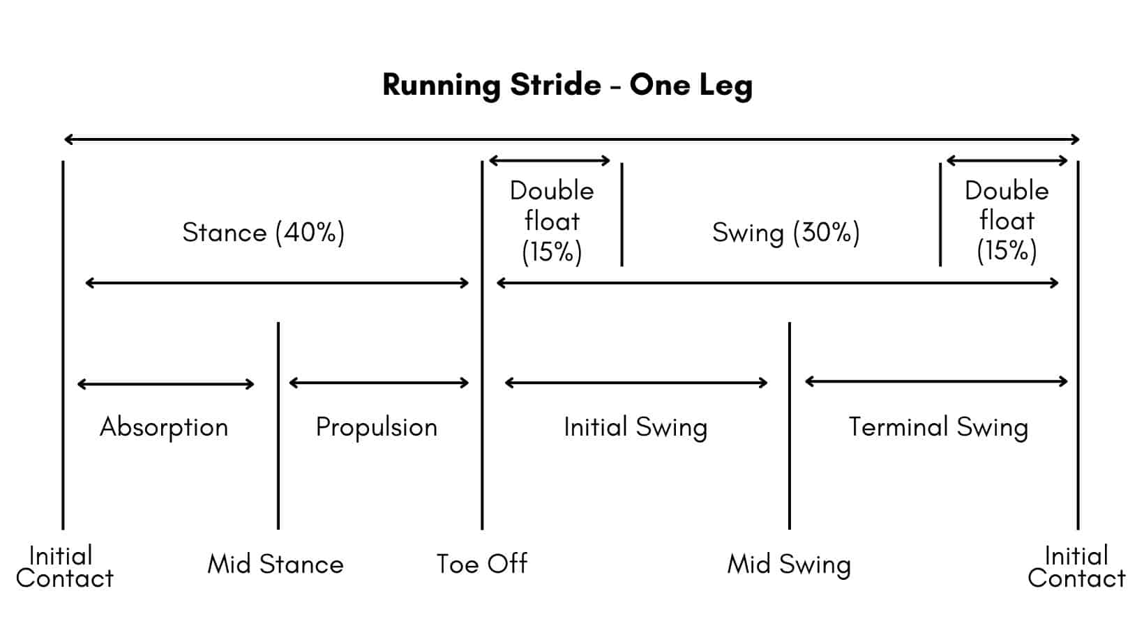 what-muscles-does-running-work-in-stance-and-swing-phases